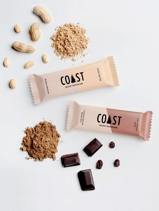 Image result for coast cricket protein
